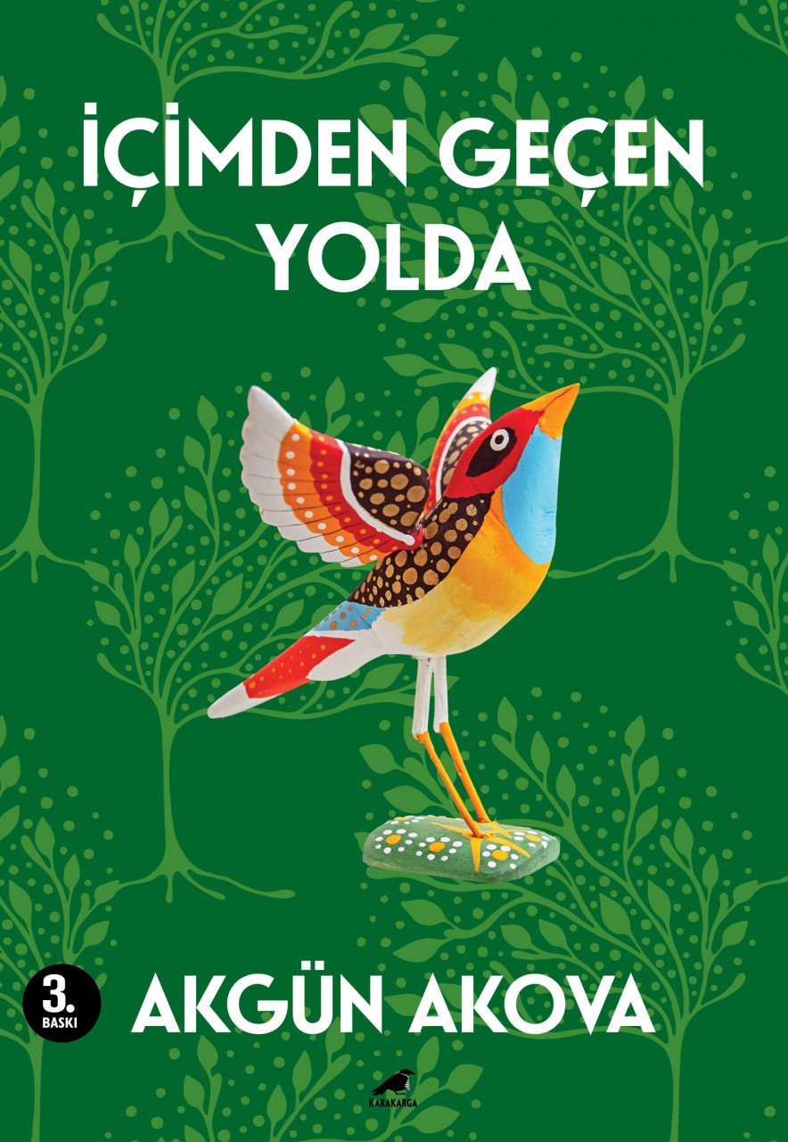 İçimden Geçen Yolda